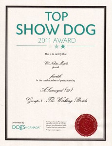 top_show_dog_2011_myrka