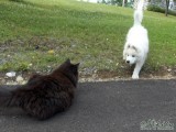View Link chat5.mois